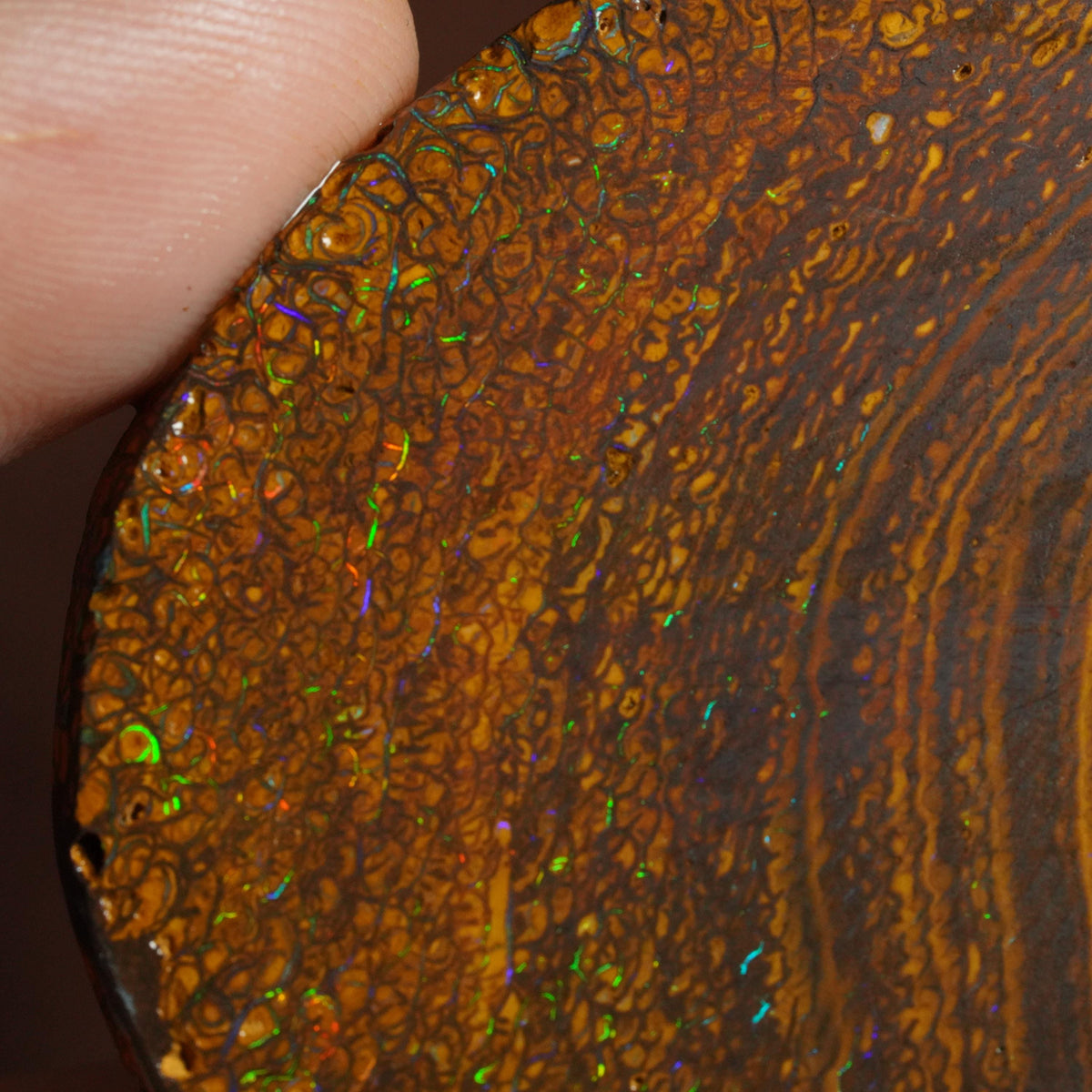 Boulder Opal Slab
