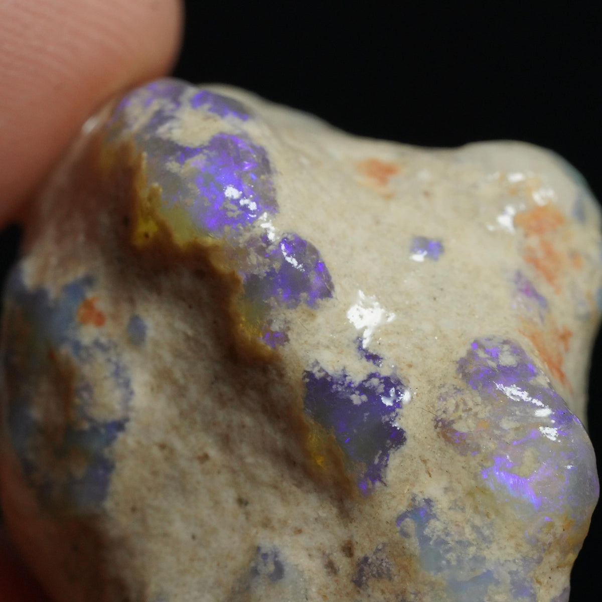 Australian Rough Opal Nobby