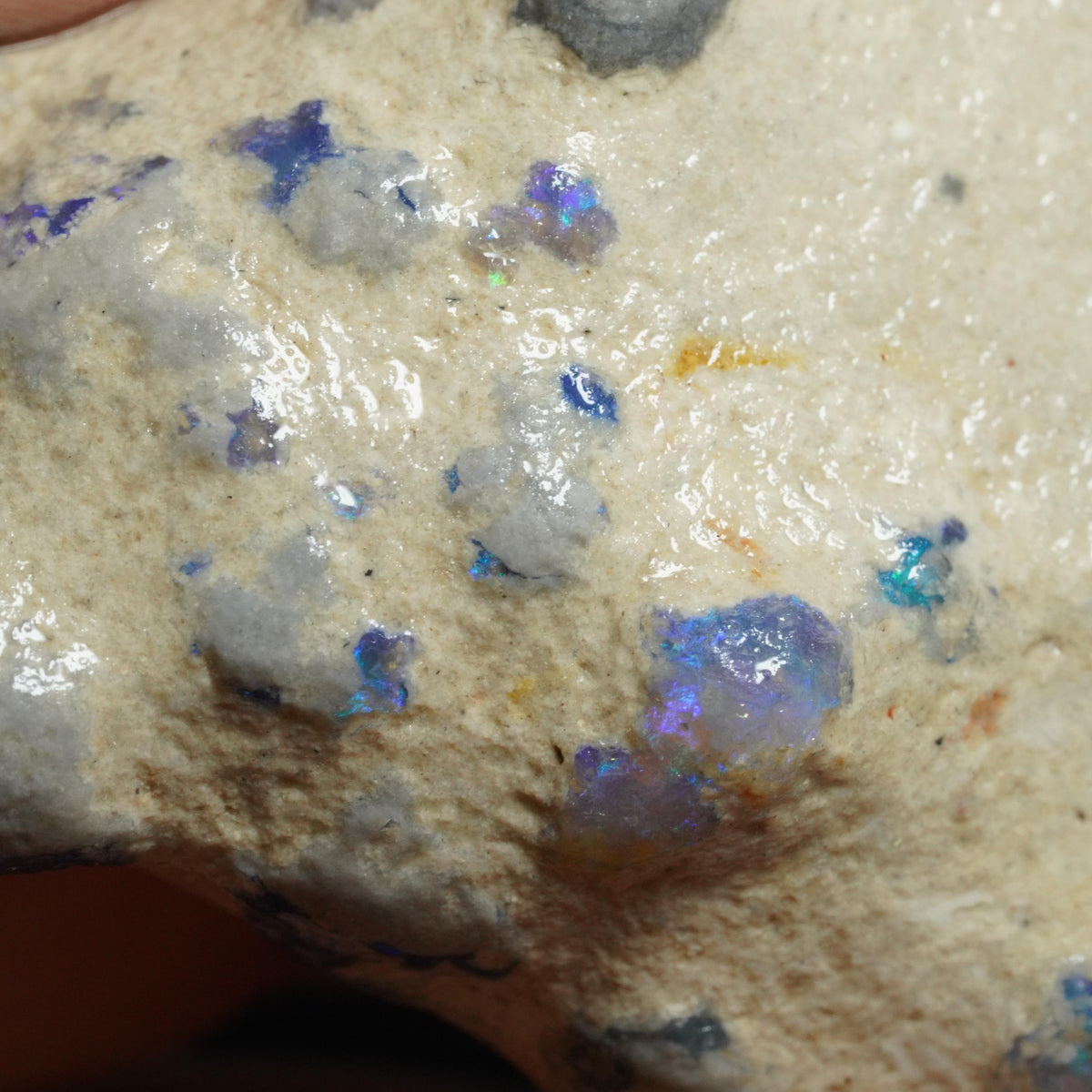 Australian Rough Opal Nobby