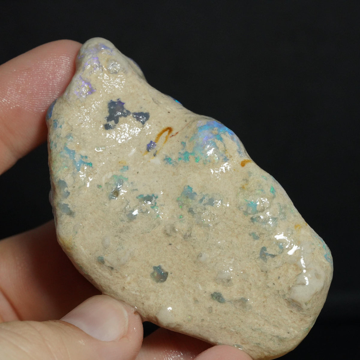 Australian Rough Opal Nobby