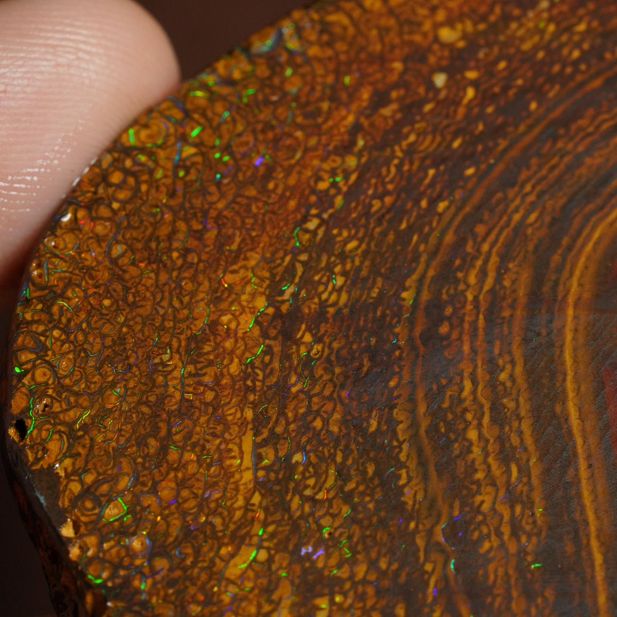 Boulder Opal Slab