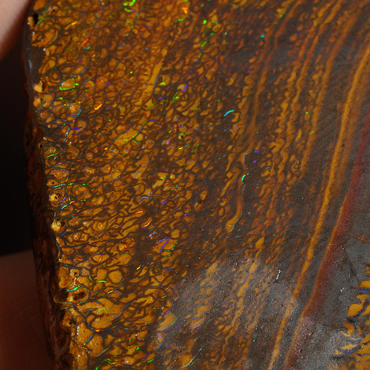 Boulder Opal Slab