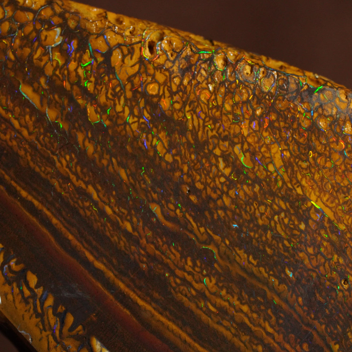 Boulder Opal Slab