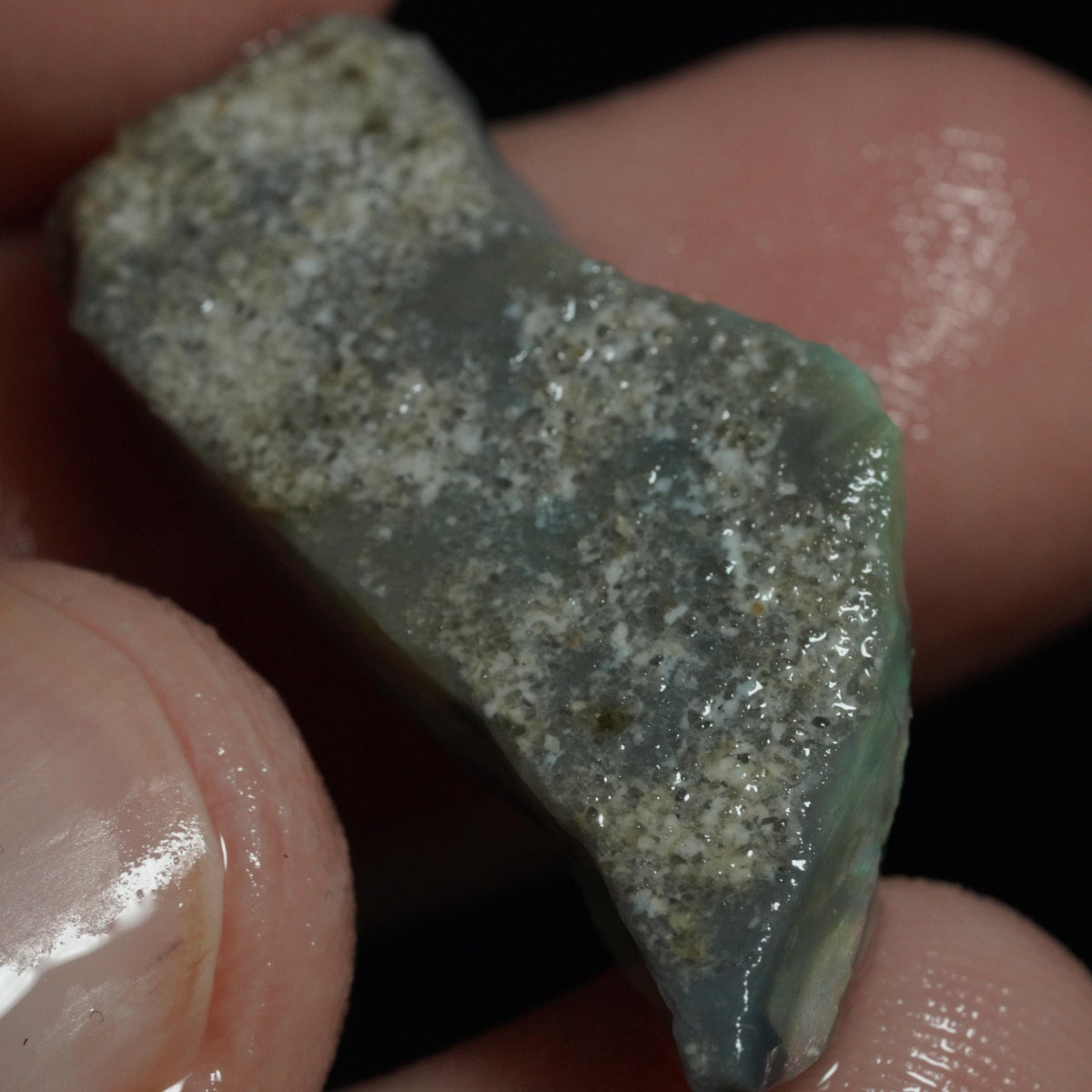 Australian Rough Opal