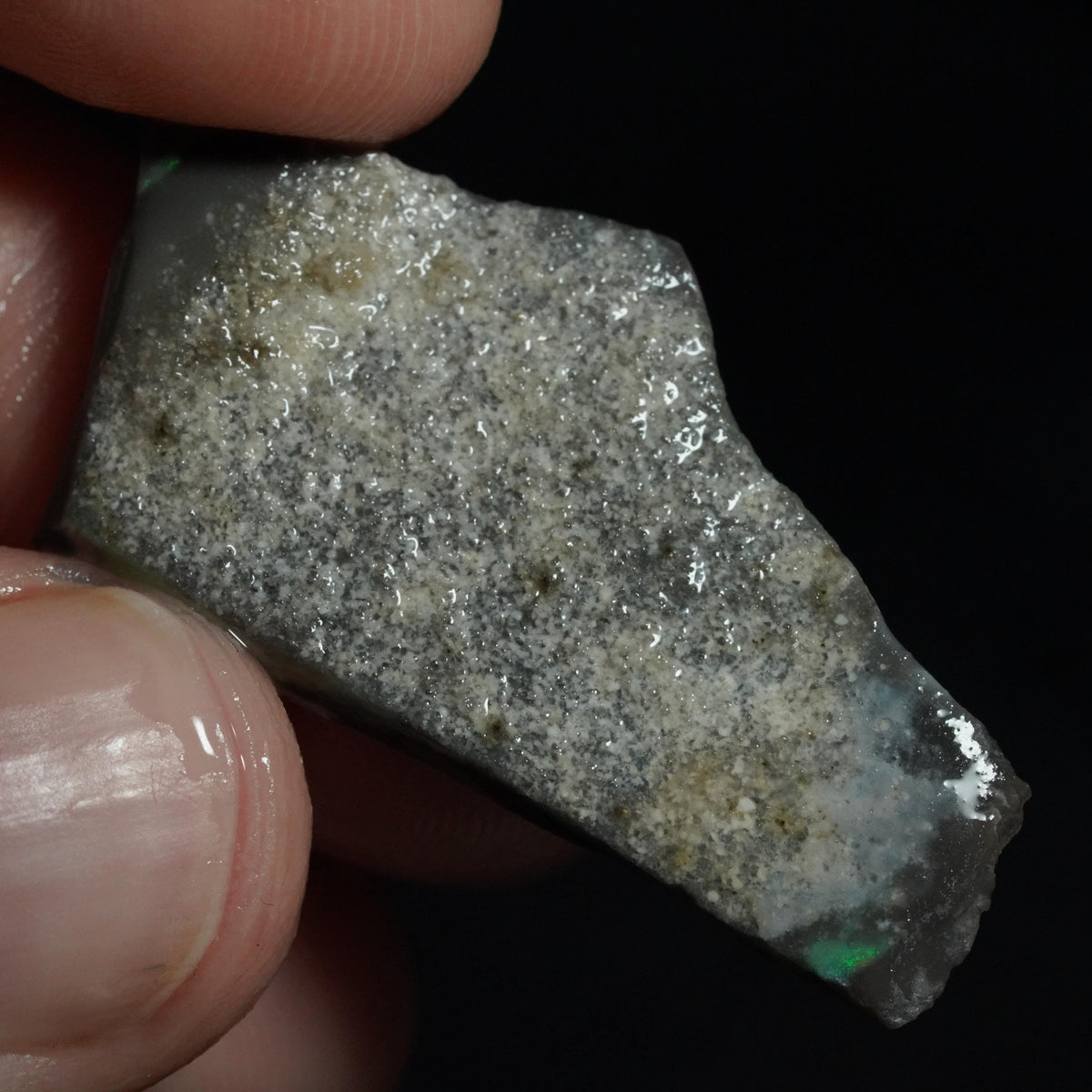 Australian Rough Opal