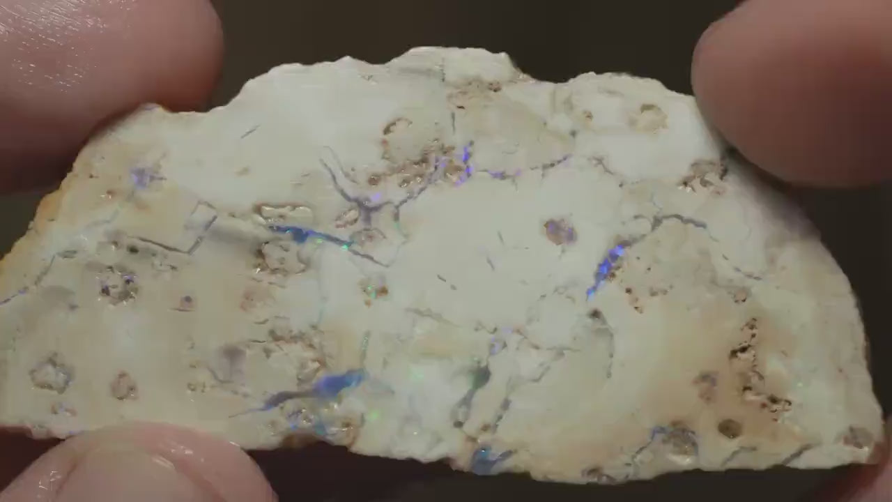 Petrified Opalised Wood Fossil Specimen