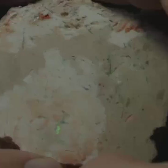 Petrified Opalised Wood Fossil Specimen