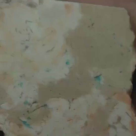 Petrified Opalised Wood Fossil Specimen