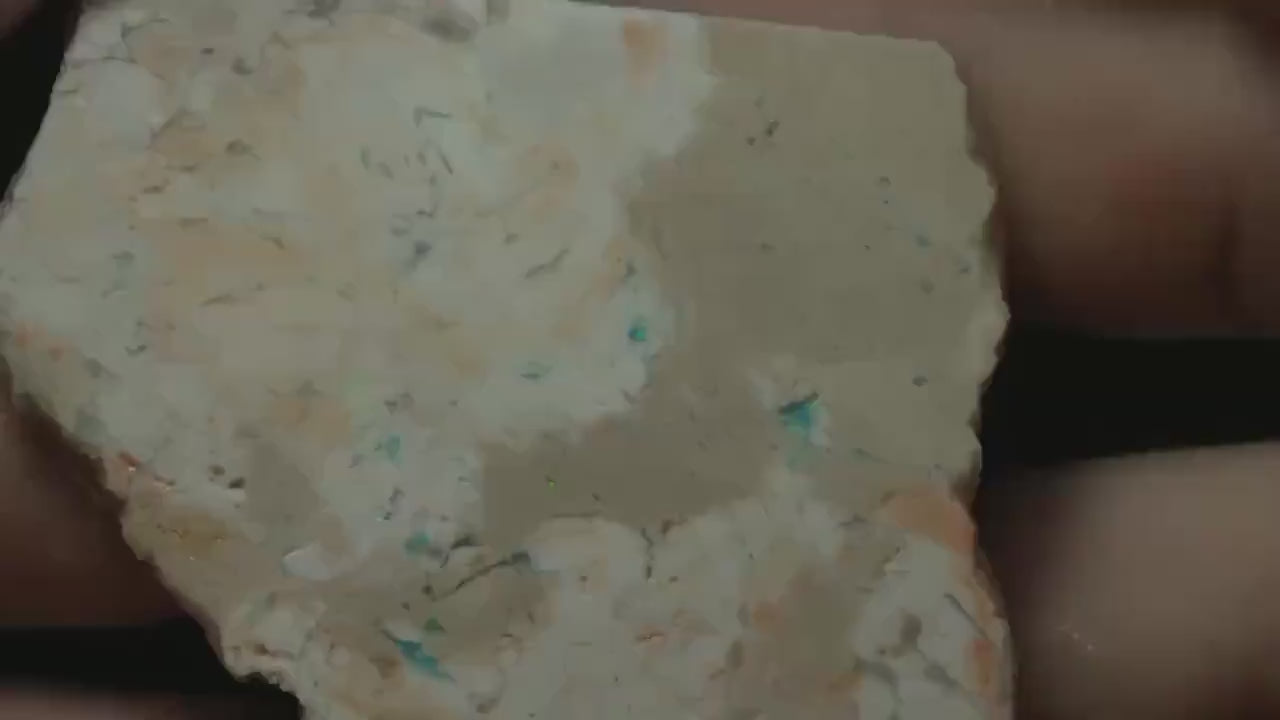 Petrified Opalised Wood Fossil Specimen