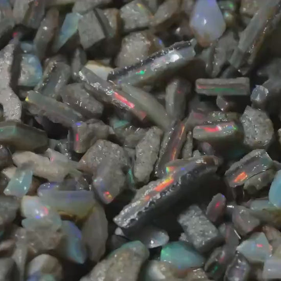 Opal Hunters Paydirt Bucket!