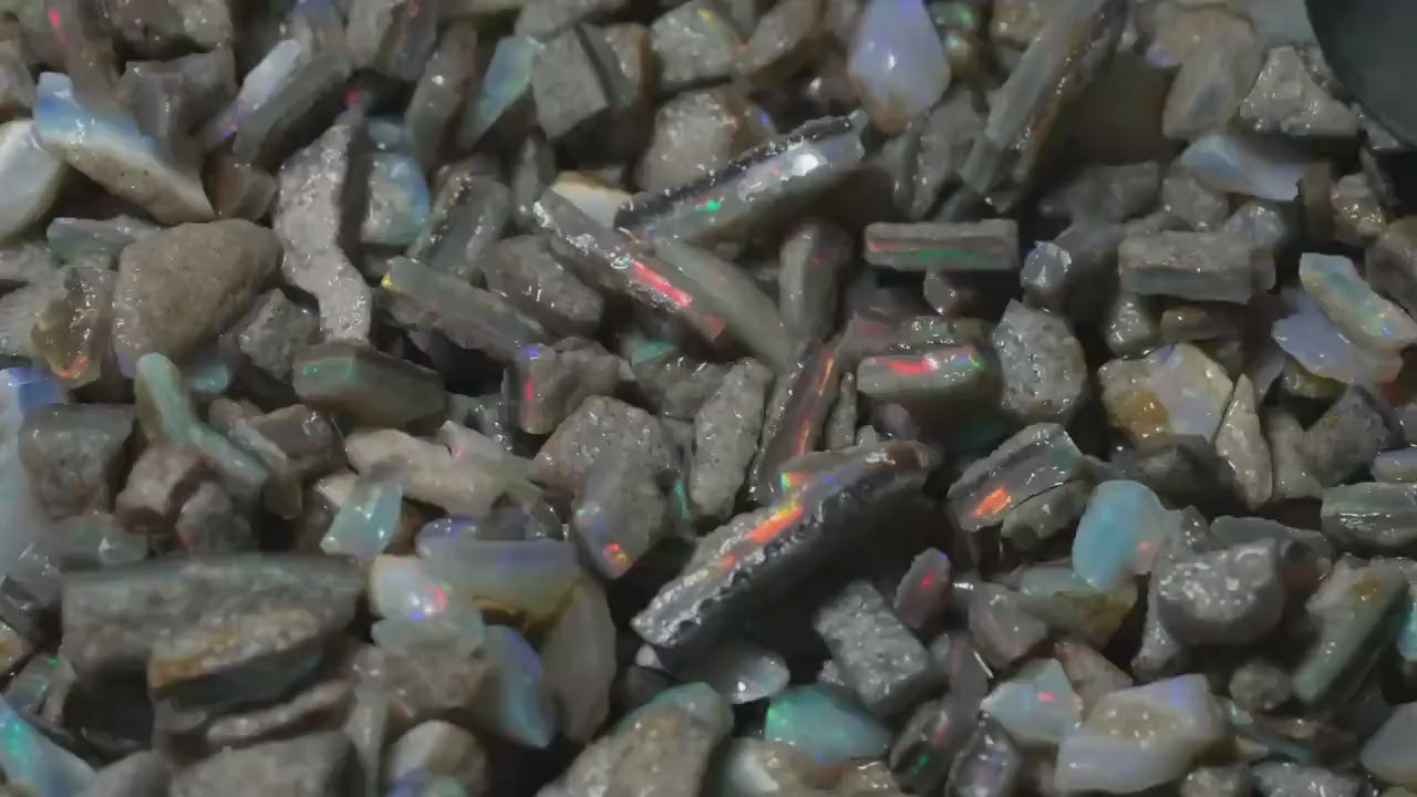 Opal Hunters Paydirt Bucket!