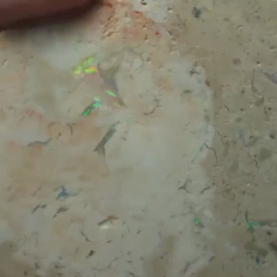 Petrified Opalised Wood Fossil Specimen