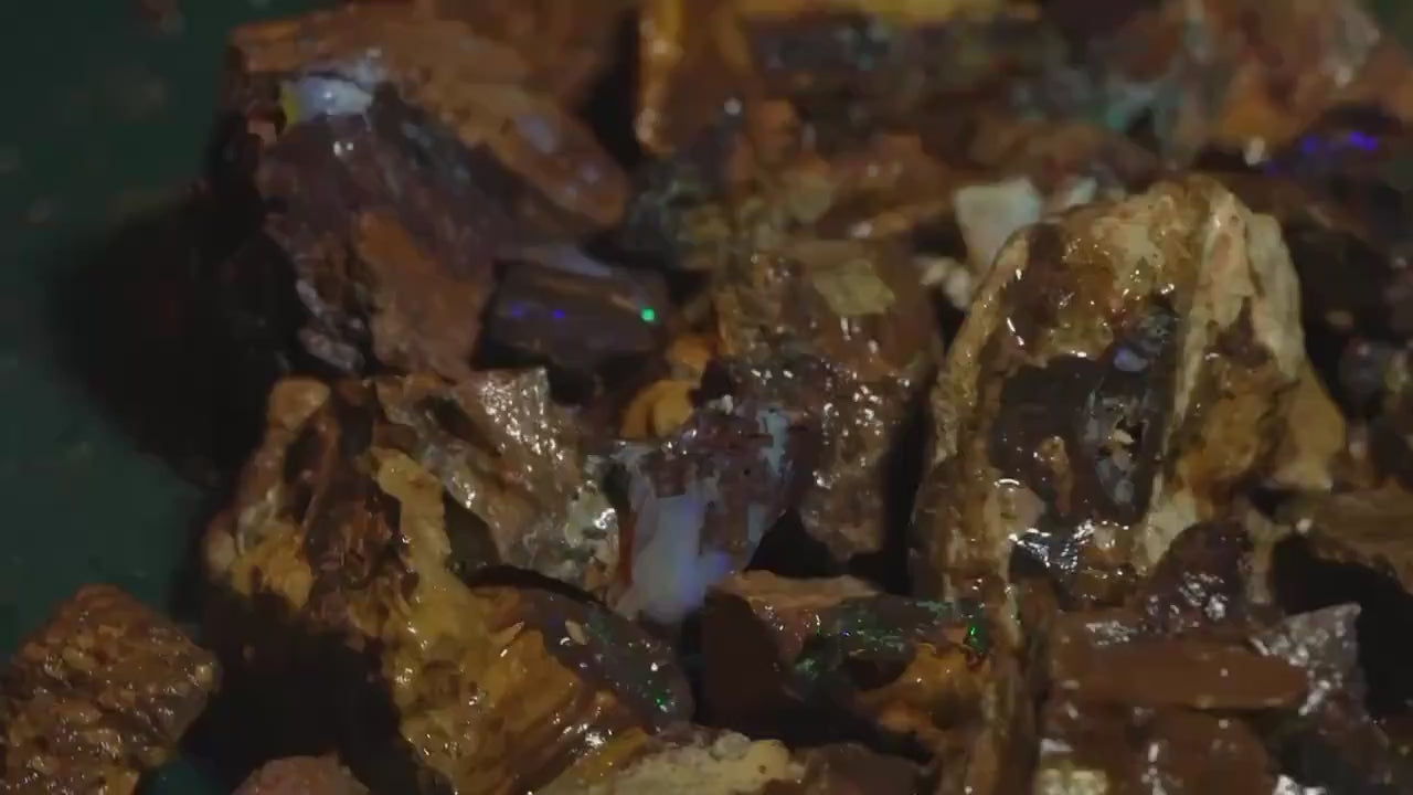 Opal Hunters Boulder Opal Paydirt