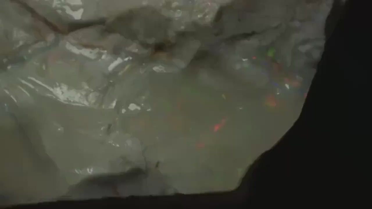 Petrified Opalised Wood Fossil Specimen