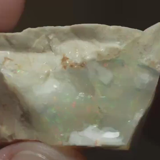 Petrified Opalised Wood Fossil Specimen
