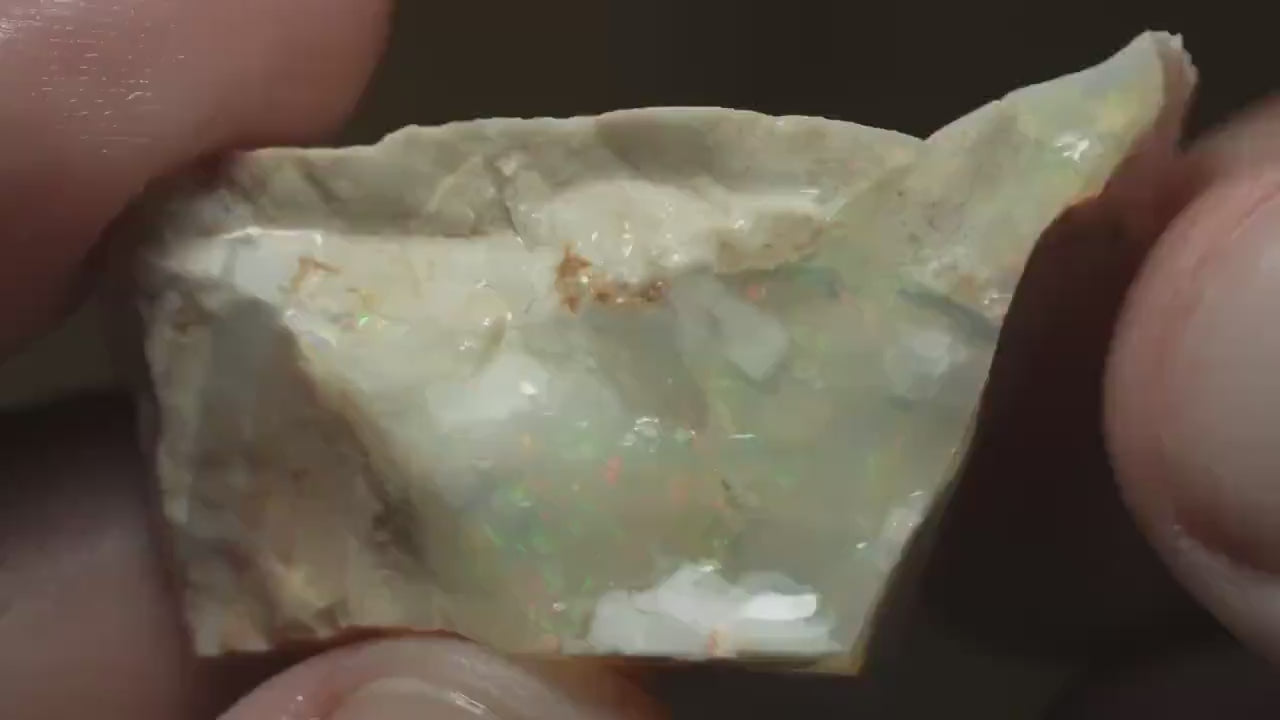 Petrified Opalised Wood Fossil Specimen