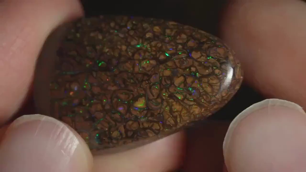 Boulder Opal Cut Stone