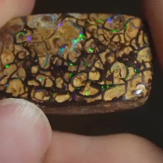 Boulder Opal Cut Stone