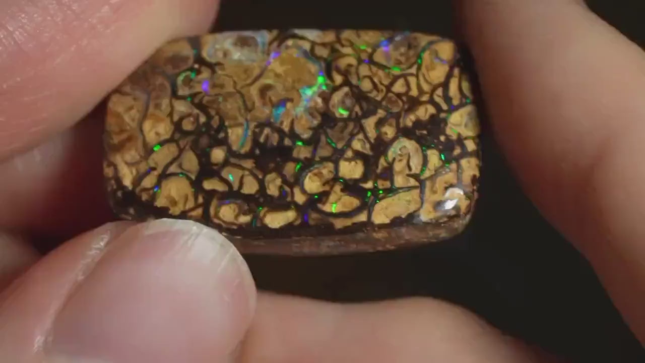 Boulder Opal Cut Stone