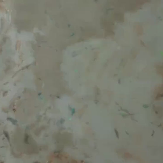 Petrified Opalised Wood Fossil Specimen