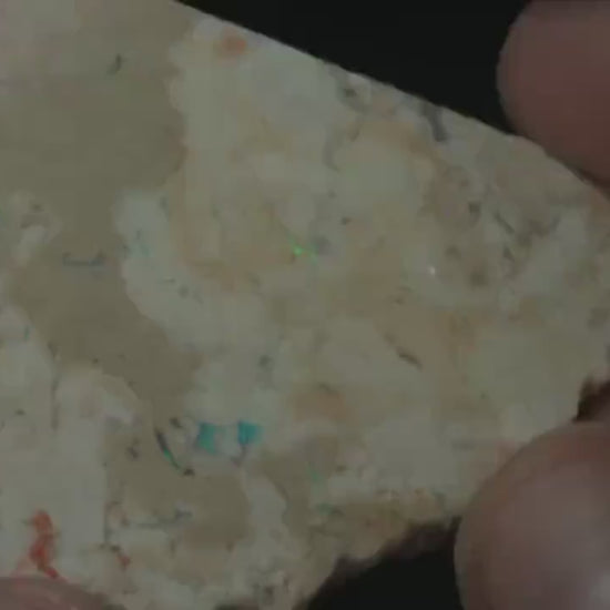 Petrified Opalised Wood Fossil Specimen