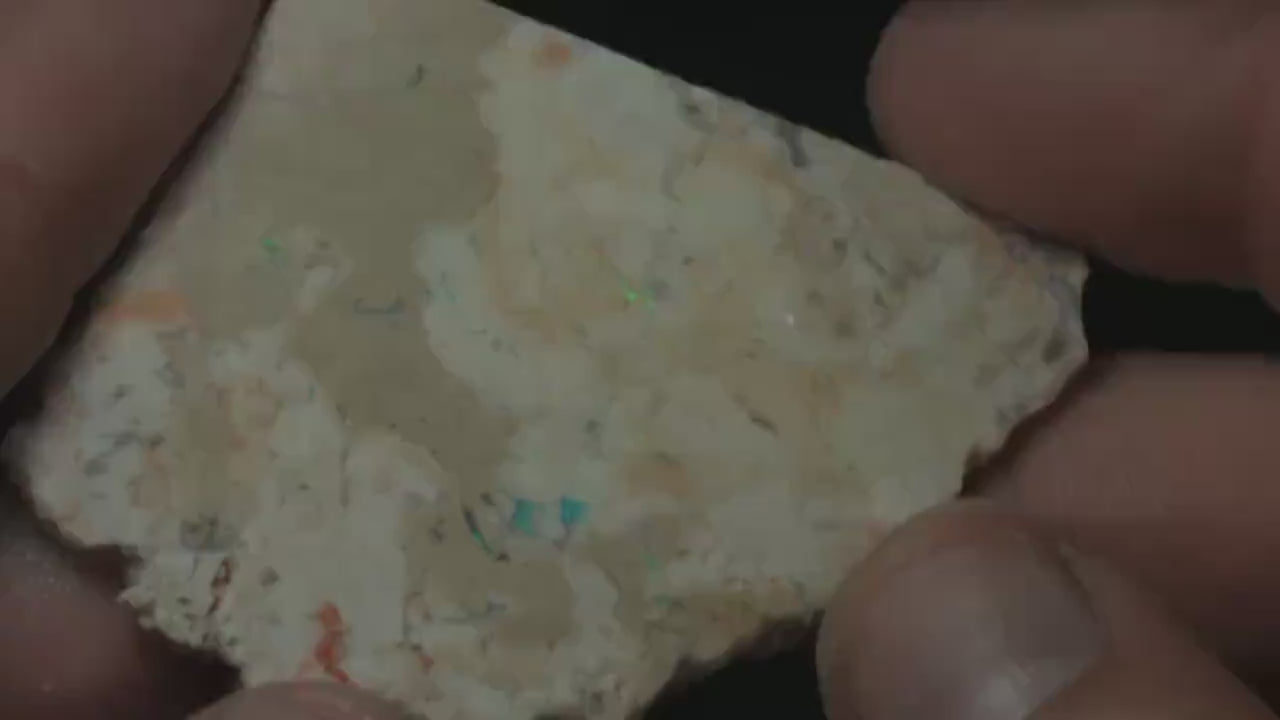 Petrified Opalised Wood Fossil Specimen