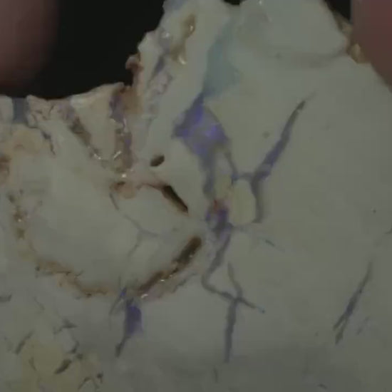 Petrified Opalised Wood Fossil Specimen