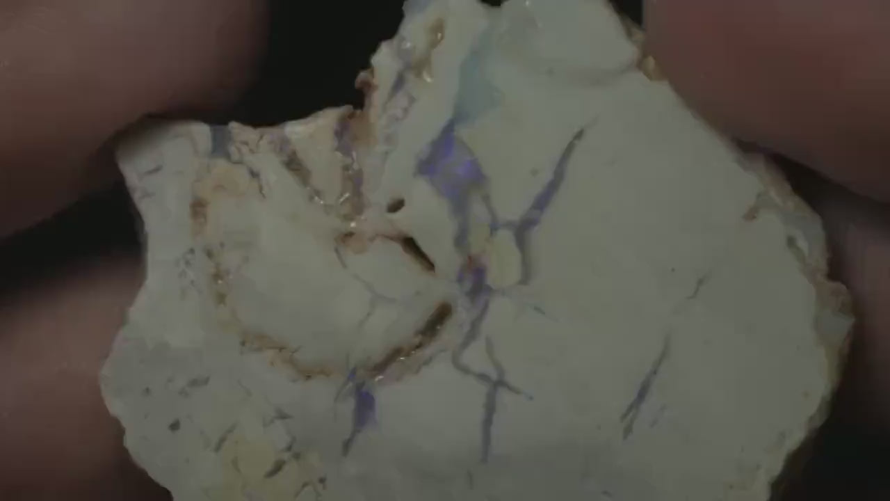 Petrified Opalised Wood Fossil Specimen