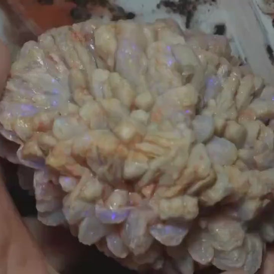 Opal Pineapple